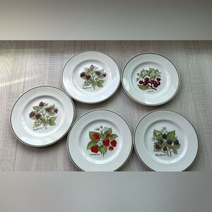 Tiffany & Co Vtg Staffordshire Gardens 5 dessert plates